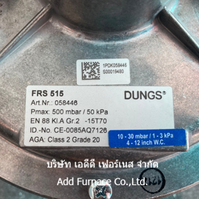 FRS 515 Dungs
